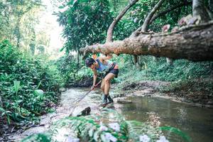 BIB: 
                            <button type="button" onclick="openModal(25431780)" class="btn btn-primary btn-sm float-right btn-popup" data-toggle="modal" data-target=".modal-high-quality">
                        <i class="fas fa-shopping-cart"></i> Add to Cart
                    </button>
                                            <button type="button" onclick="isThisMe(25431780, true)" class="btn btn-success btn-sm float-right btn-popup btn-isme hidden" data-toggle="tooltip" data-placement="bottom" title="นี่คือรูปของคุณใช่ไหม คลิกที่นี่เพื่อเอาเข้าอัลบั้ม">
                        <i class="fas fa-plus"></i> Add to album
                    </button>
                    <button type="button" onclick="isThisMe(25431780, false)" class="btn btn-warning btn-sm float-right btn-popup btn-isnotme hidden">
                        <i class="fas fa-ban"></i> Remove from album
                    </button>